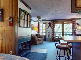 66 Ridgewood St, Snowshoe, WV 26209