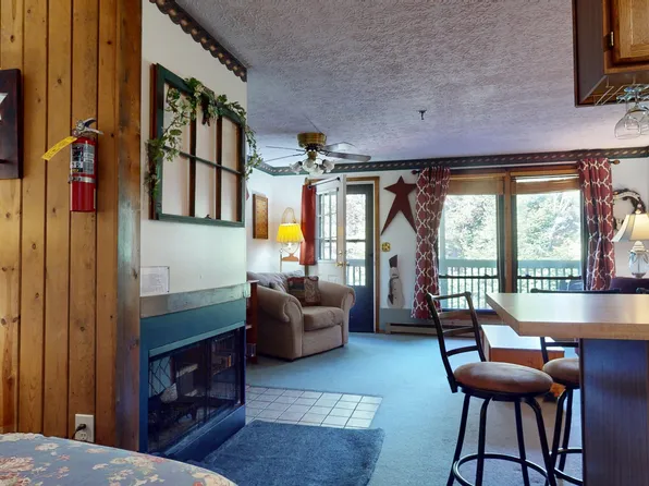 66 Ridgewood St, Snowshoe, WV 26209