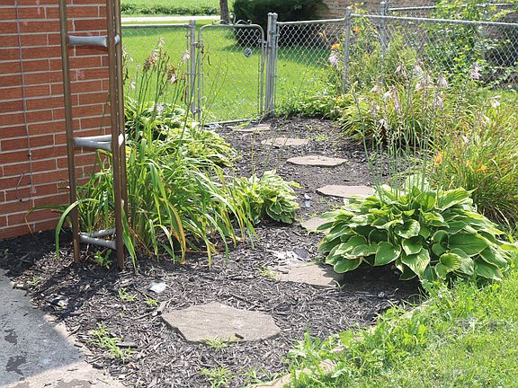 Back yard landscaping