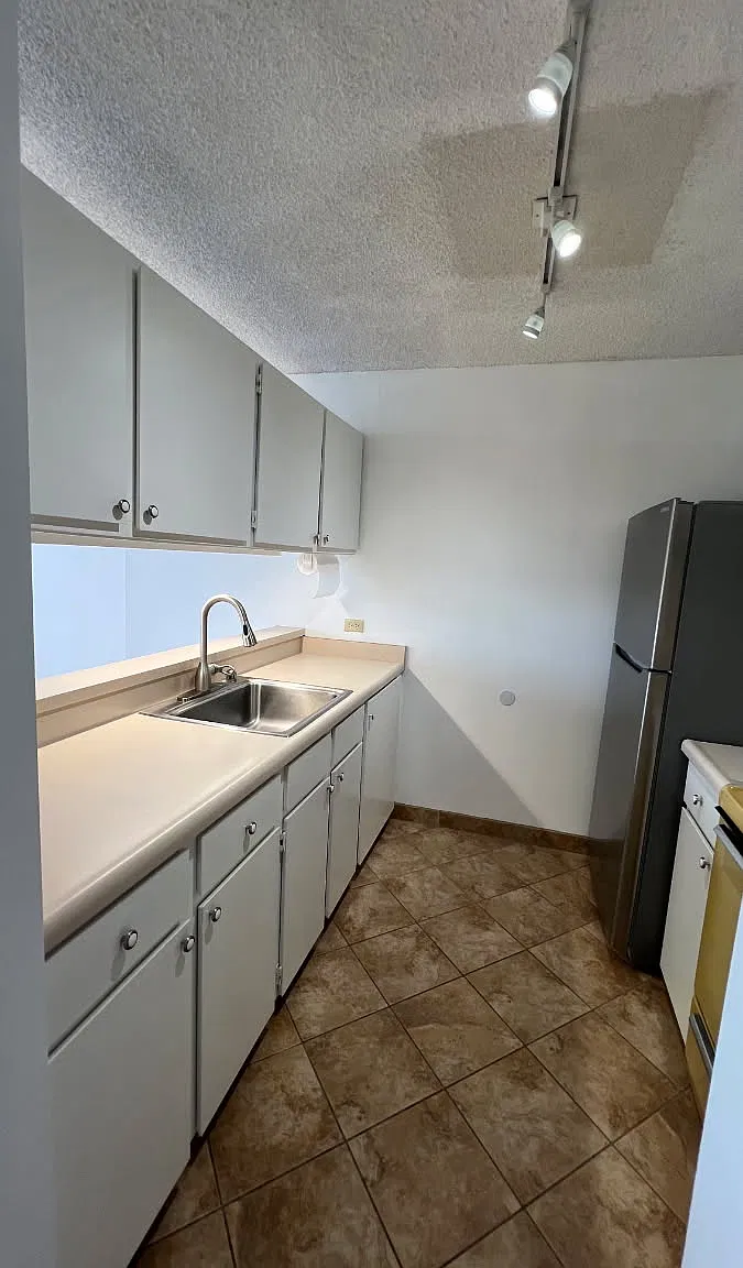 1 bed, 560 sqft, $2,800 — Photo 2