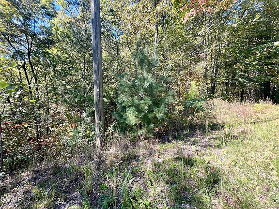 3rd image of 6 Acres Creek Hollow Way