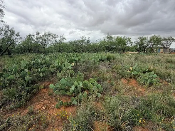 0 White St, Loraine, TX 79532
