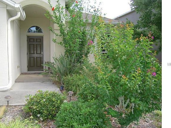 LUSH LANDSCAPING WITH CONCRETE CURBING