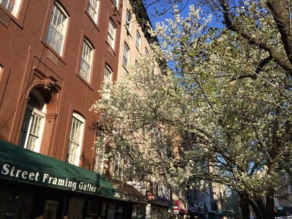 5th image of 221 W 14th St APT 4C
