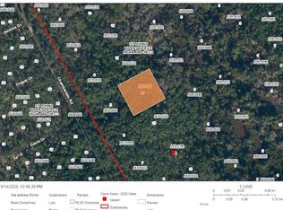 117 Carriage Pl LOT 16, Satsuma, FL 32189