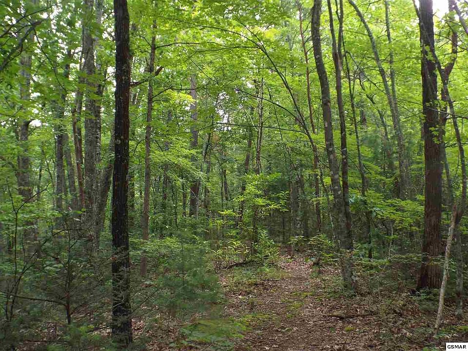 1st image of 0 Huskey Grove Rd