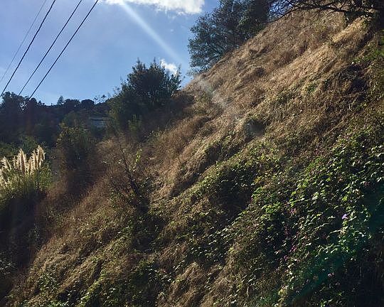 2nd image of 1625 Crater Ln