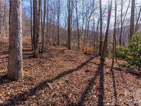 4th image of 1248 Arborcrest Way Lot 46