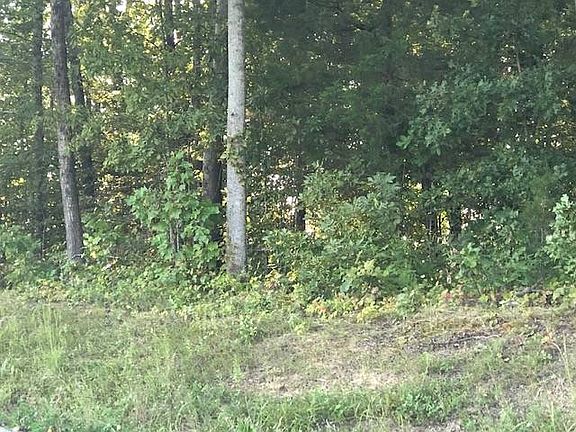 5th image of 4653 State Highway 1859