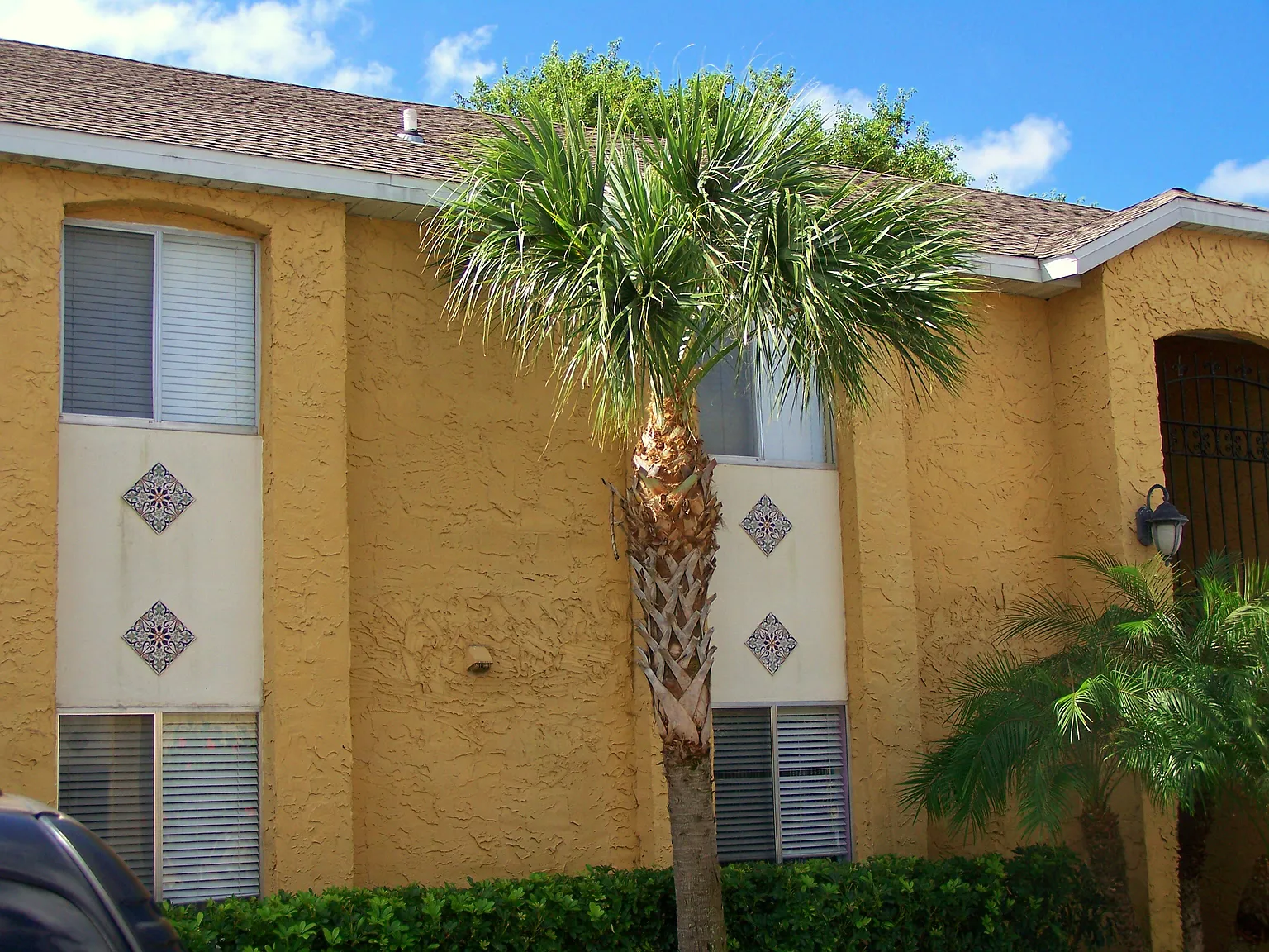 2 bed, 1049 sqft, $1,800 — Photo 3