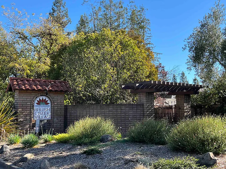 905 Shadyoak Dr — Photo 14
