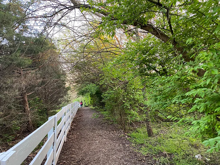 Walking trail 5 min walk to the playground from he house