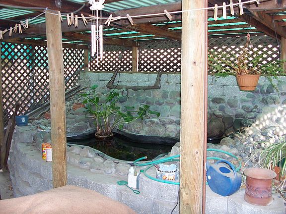3rd image of 801 Vine Hill Way