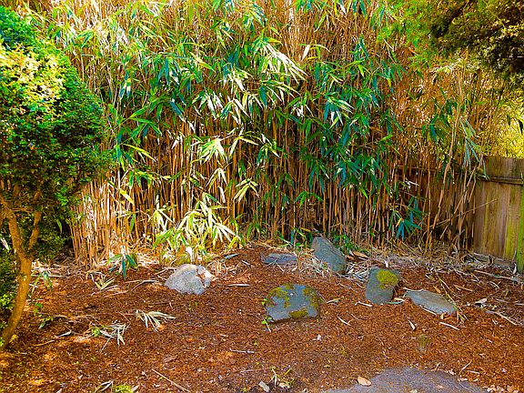 Bamboo and Fruit Trees Oh My