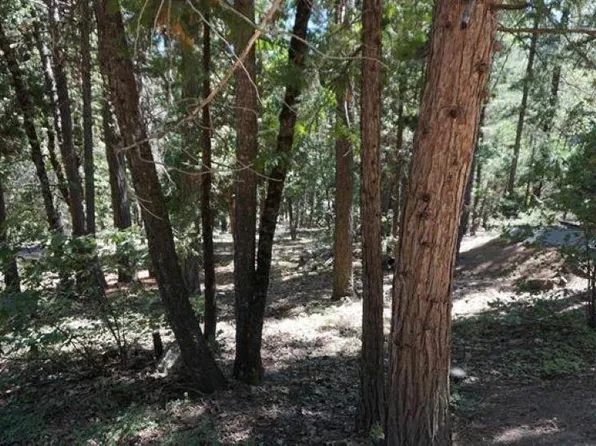 2021 Cedar Ln, Quincy, CA 95971