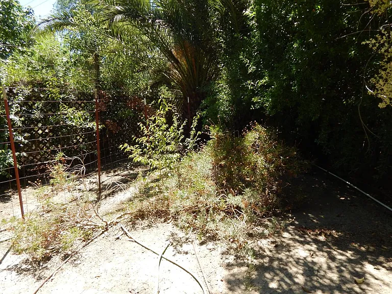 1206 Covell Pl — Photo 26