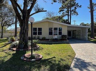 14 Niagara Falls Cir, Ormond Beach, FL 32174