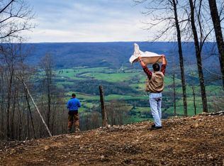2171 Overlook Trl Lot 26, Spring City, TN 37381