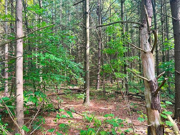 2nd image of 0 Mountsberg Rd