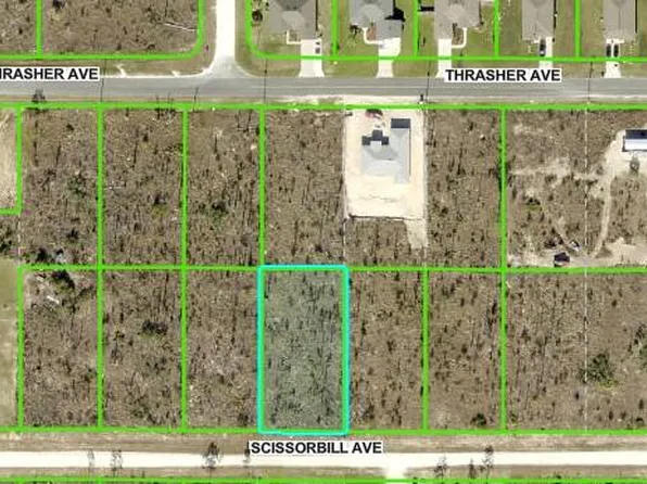 Scissorbill Avenue Lot #16, Brooksville, FL 34614