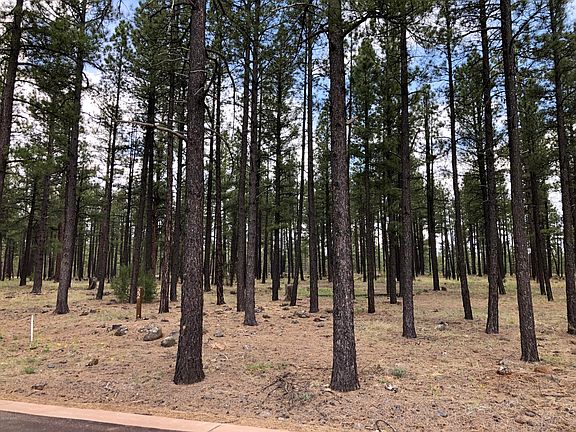 3rd image of 9571 Sierra Springs Dr