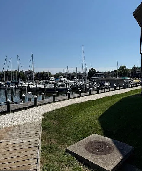 7036 Harbour Village Ct #T1 — Photo 47