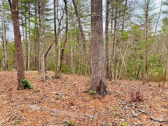 4th image of 87 Round Mountain Pkwy