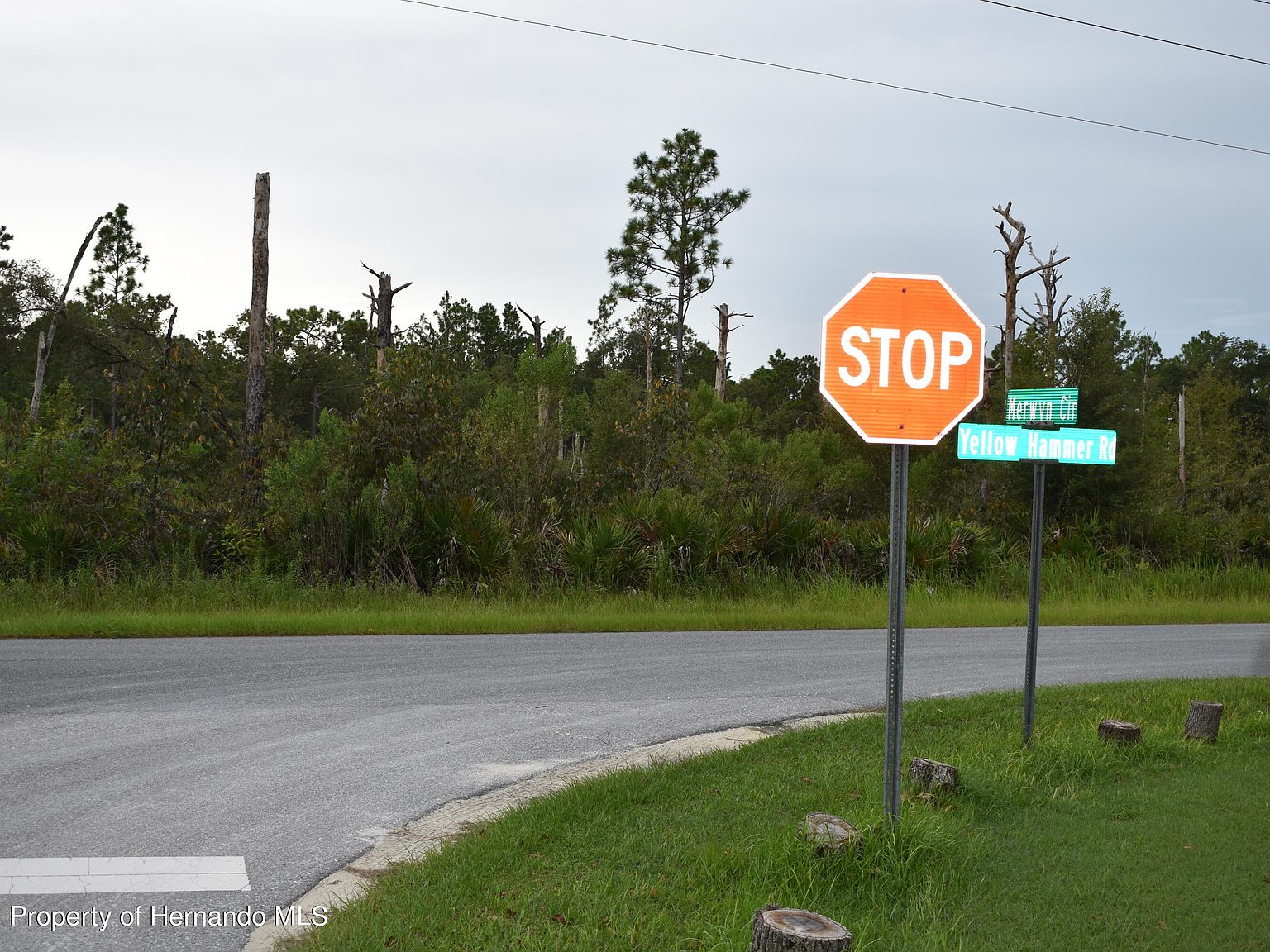 11120 Yellow Hammer Rd, Weeki Wachee, FL 34614 Zillow