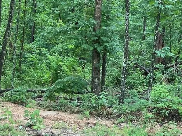 79 Madison St #410, Fredericktown, MO 63645