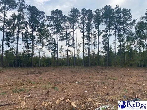 LOT 1D Daniels Ln, Bennettsville, SC 29512