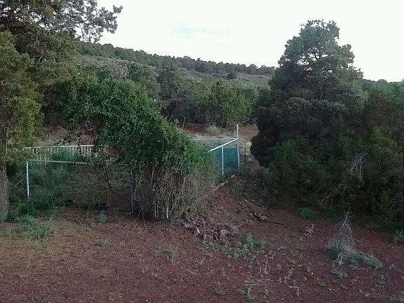 3rd image of 7175 N Wild Horse Dr