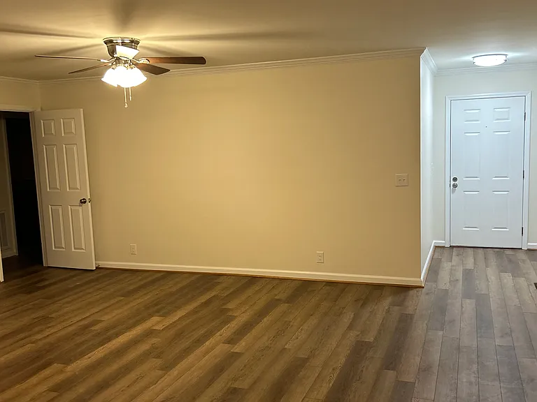 Living Area view from back of house