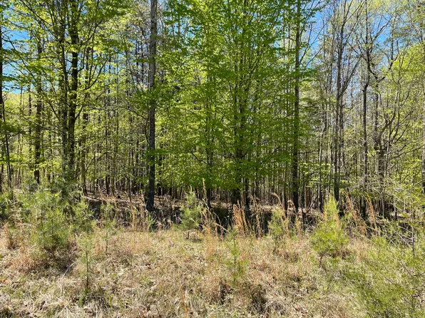 LOT 13 Tarragon Way, Moneta, VA 24121
