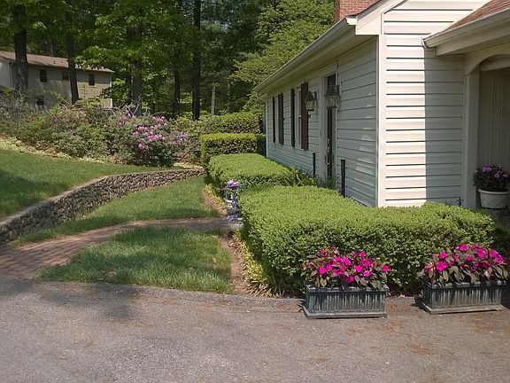Beautiful Hedges in front