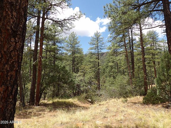 4th image of 018E &014U Pine Hollow Trail #018E & 014U