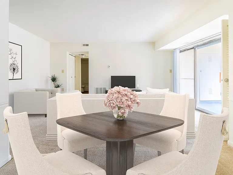 Living Room Area