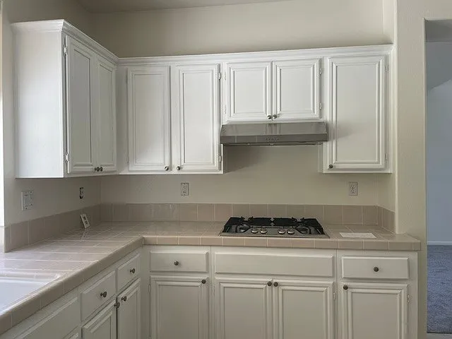 1324 Silverado Dr — Photo 7