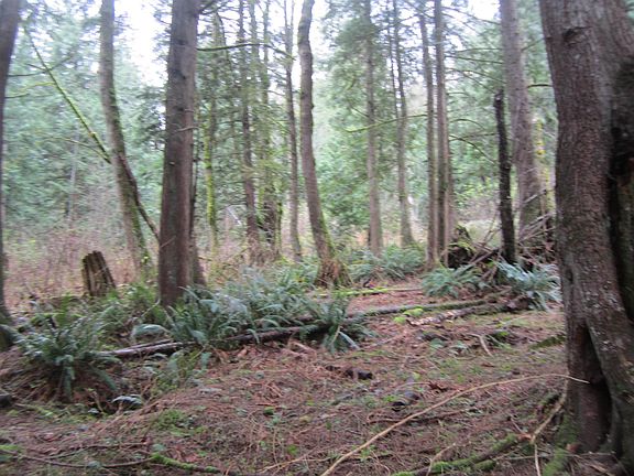 4th image of 11121 Barnes Rd