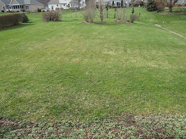 1st image of 1052 Chatham Ln