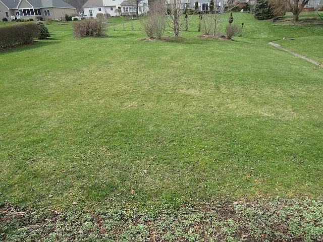 1052 Chatham Ln photo 1