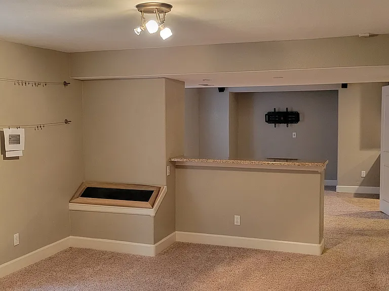 Basement living room