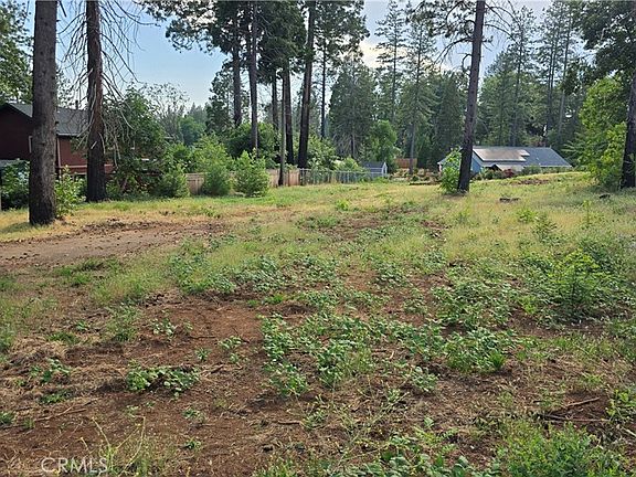 3rd image of 7279 Pentz Rd