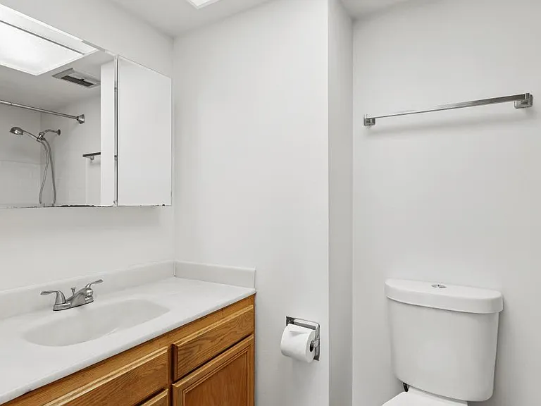 Guest Bathroom - Main level