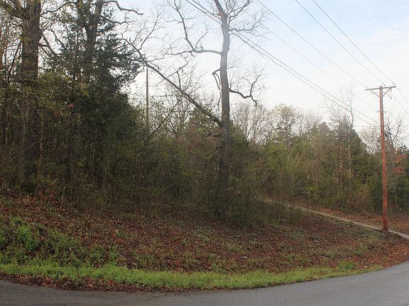 3rd image of 1239 Westwood Dr