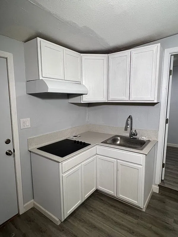 1 bed, 1.0 bath, 600 sqft, $1,200 — Photo 2