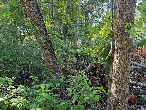 3rd image of E Graham Ln #12