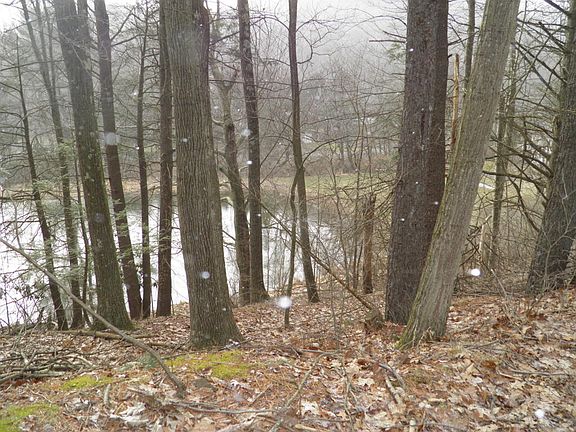 3rd image of 9 Moore Ln