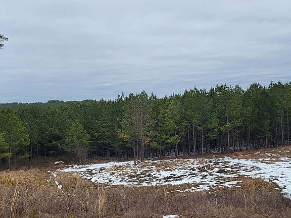 3rd image of LOT 13 Stirrup Ln
