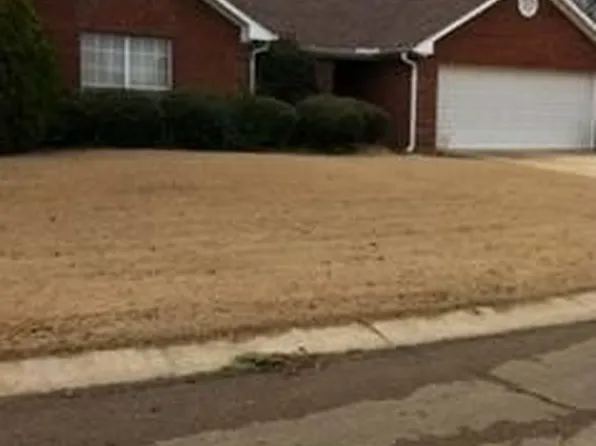 115 Prinston St, Saltillo, MS 38866