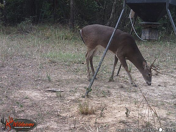 3rd image of 139 NW County Rd #1061